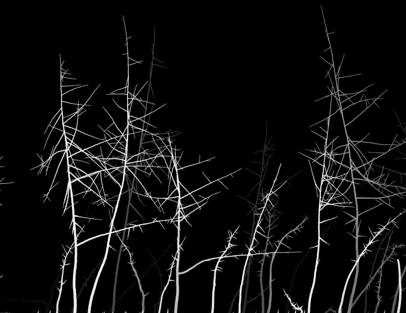 Procedurally generated trees in JavaScript